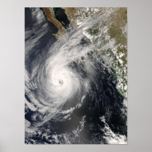 Poster Ouragan Norbert au Mexique 2