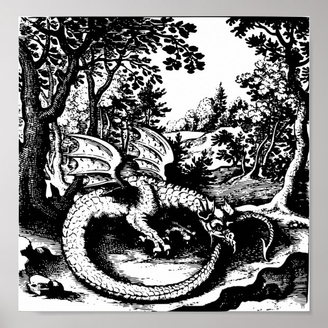 Poster Ouroboros Dragon (Devant)