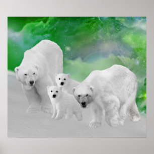 Poster Ours blancs, petits animaux et lumières du nord
