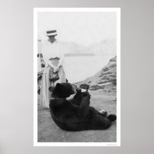 Poster Ours buvant en Alaska 1910