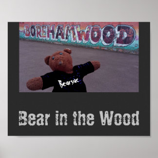 Poster Ours dans le bois