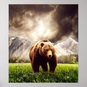 Poster Ours de montagne