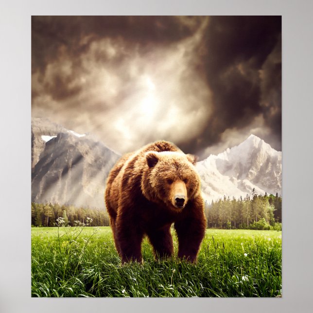 Poster Ours de montagne (Devant)