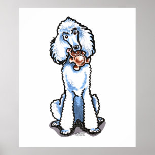 Poster Ours de nounours blanc de caniche standard