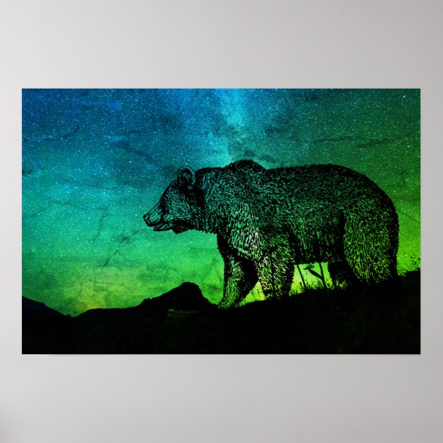 Poster Ours De Nuit Et Aurora Borealis (Devant)