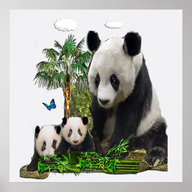 Poster Ours de panda (Devant)