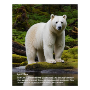Poster Ours d'esprit