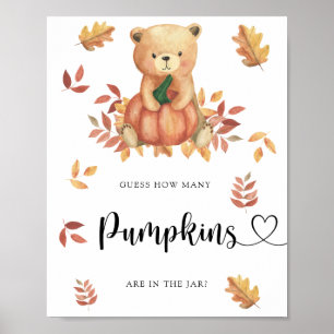 Poster Ours - devine combien de citrouilles