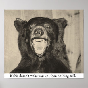 Poster Ours effrayant