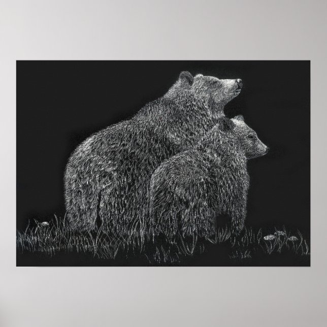 Poster Ours Faune Nature Dessin noir blanc (Devant)