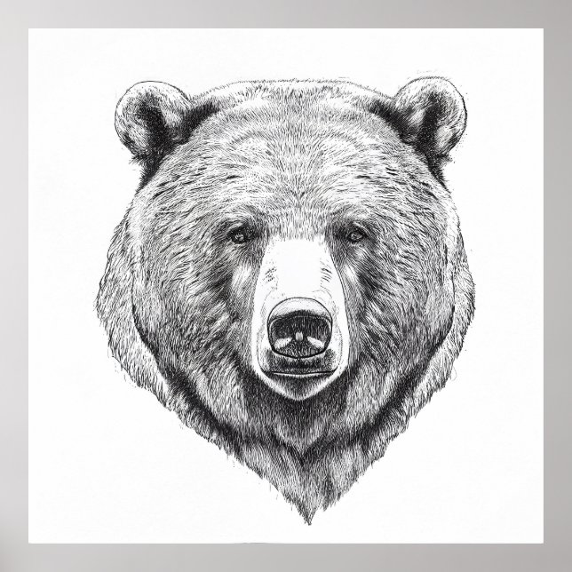 Poster Ours Grizzly Nature sauvage Illustration animale A (Devant)