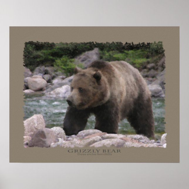 Poster Ours grizzly - Pastels (Devant)