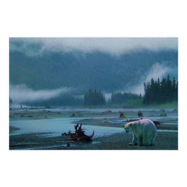 Poster Ours Kermode Rare (Ours Esprit) et rivière Misty (Devant)