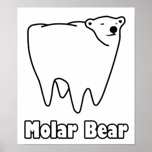 Poster Ours molaire Ours polaire Ours de dents
