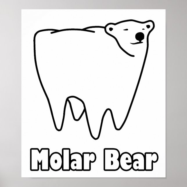 Poster Ours molaire Ours polaire Ours de dents (Devant)
