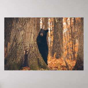 Poster Ours noir debout près d'un arbre