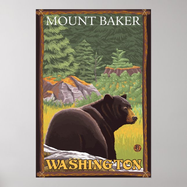 Poster Ours noir en forêt - Mount Baker, Washington (Devant)