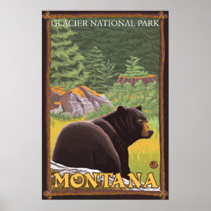 Poster Ours noir en forêt - Parc national des Glaciers, M