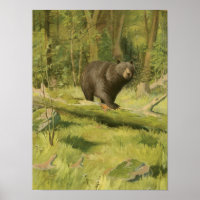 Ours noir sur un tronc d'arbre