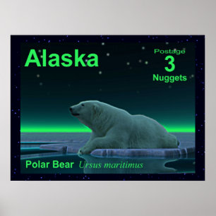 Poster Ours polaire à bord de glace