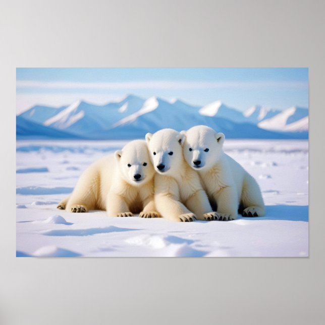 Poster Ours polaire Animal Nature Animaux Affection Faune (Devant)