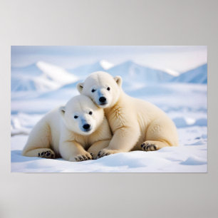 Poster Ours polaire Animal Nature Animaux Affection Faune
