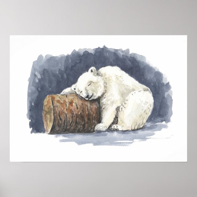 Poster Ours polaire dormant, aquarelle (Devant)