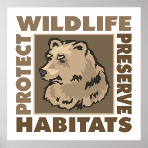 Poster Ours - Protéger la faune Préserver les habitats