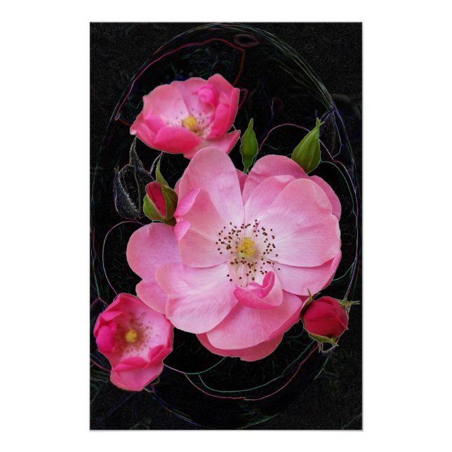 Poster ouverture de minuscule rosebud (Devant)