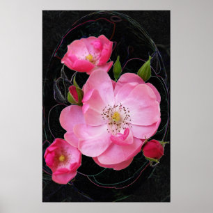 Poster ouverture de minuscule rosebud