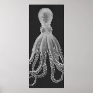 Poster Oversized Octopus Triptych II Print in Gray