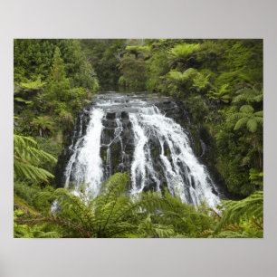 Poster Owharoa Falls, gorge de Karangahake, près de Paero