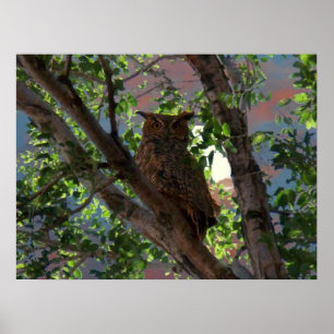 Poster Owl and the Moon Print