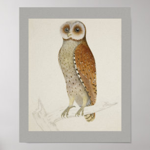 Poster Owl Bird Peace Cottage Office Destiny's Destiny