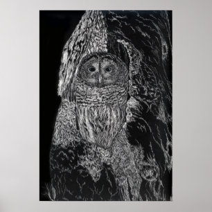 Poster Owl Bird Tree Drawing Black White Art