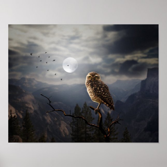 Poster-Owl Poster (Front)