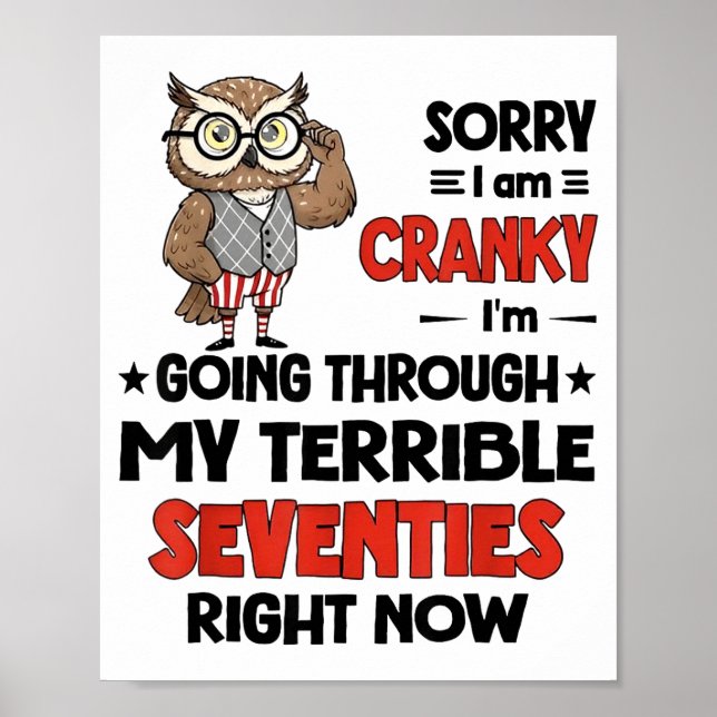 Poster Owl Sorry I'm Cranky I'm Going Through My Terrible (Devant)