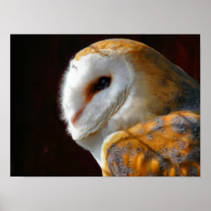 POSTER OWLS