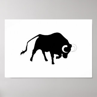 Poster OX, moggy, bétail, vache, tauromachie, corrida, co