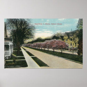Poster Oxford Street Magnolias en fleurs