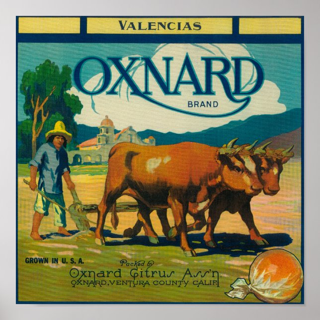 Poster Oxnard Orange LabelOxnard, CA (Devant)