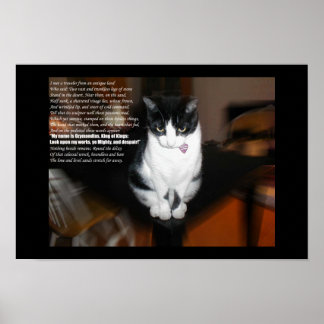 Poster ozymandias