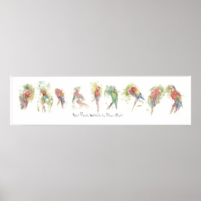 Poster P3, Neuf perroquets, aquarelle par Dennis Boyce (Devant)