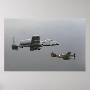 Poster P-40 Tomahawk et A-10 Warthog