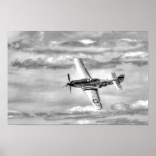 POSTER P-51