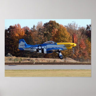 POSTER P-51
