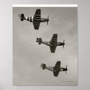 Poster P-51 B et P51D Mustang
