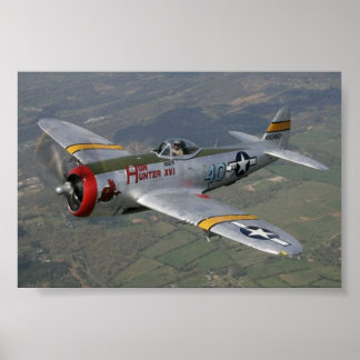 Poster p-51 Mustang