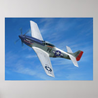 P-51D "Cripes A'Mighty"
