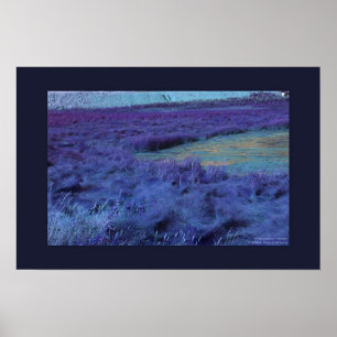 Poster P ci-dessous dans l'Indigo